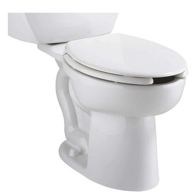 Elongated Pressure Assisted Toilet Bowl Only - Frankwebs