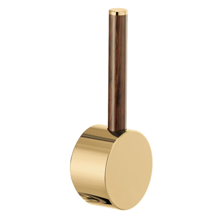 Handle Kit Odin Metal/Wood 1 Lever Brilliance Luxe Gold ADA for Pull Down Faucet - Frankwebs