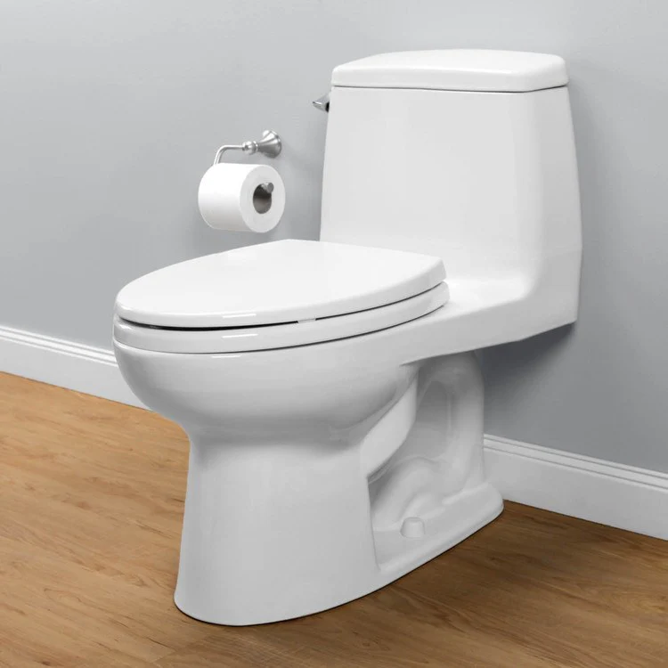 Eco UltraMax Elongated One-Piece Toilet with SoftClose Seat - Frankwebs