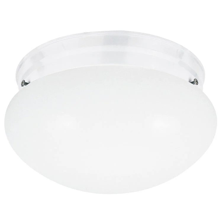 Webster Single-Light LED Flush Mount Ceiling Fixture - Frankwebs