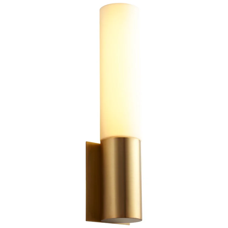 Magnum Single-Light LED Wall Sconce with Acrylic Shade - Aged Brass - Frankwebs