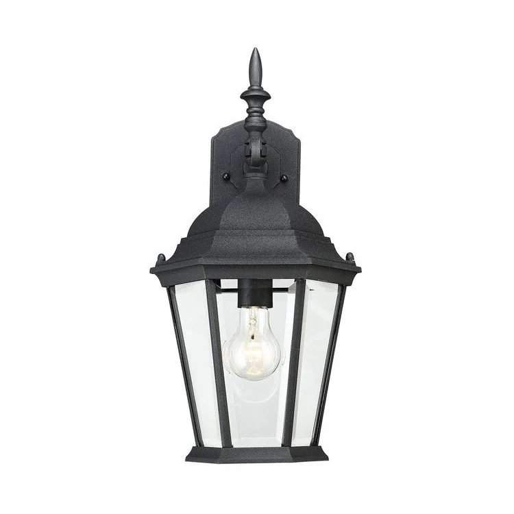 Exterior Collections Single-Light Outdoor Wall Mount Lantern - Frankwebs