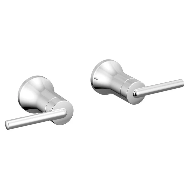 Handle Kit Trinsic Zinc 2 Lever Wall Mount Chrome ADA for Lavatory Faucet - Frankwebs