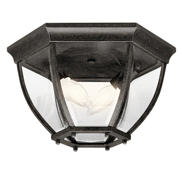 Two-Light Outdoor Flush Mount Ceiling Fixture - Frankwebs