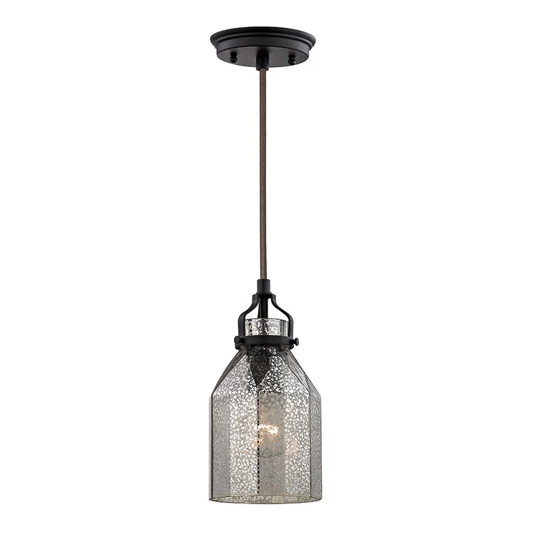 Danica Single-Light Pendant - Frankwebs