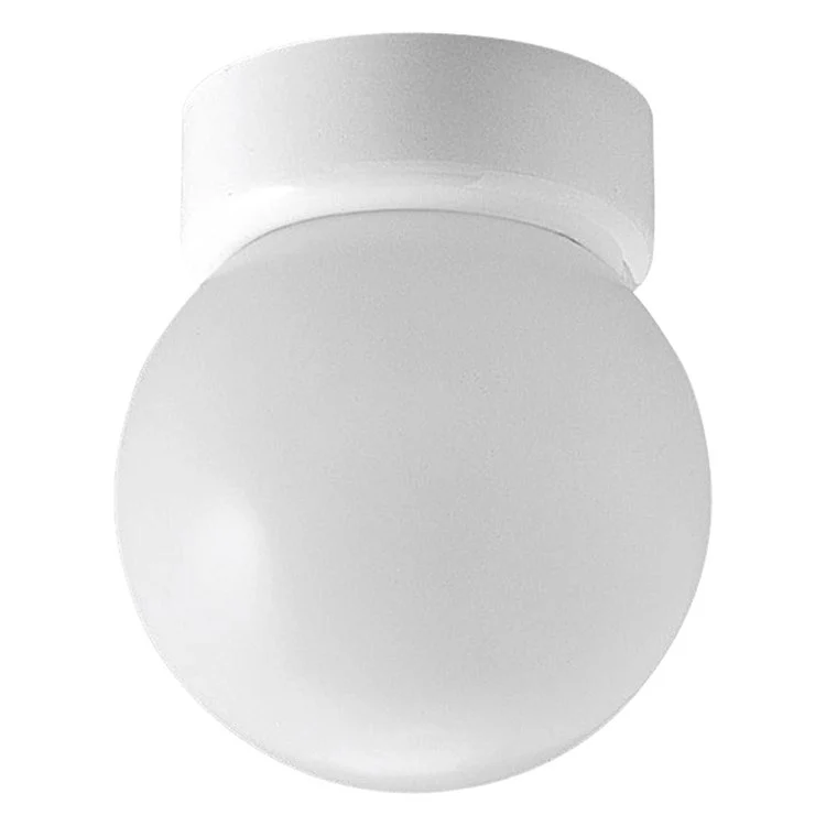 Single-Light Flush Mount Ceiling Light with Glass Globe Shade - Frankwebs