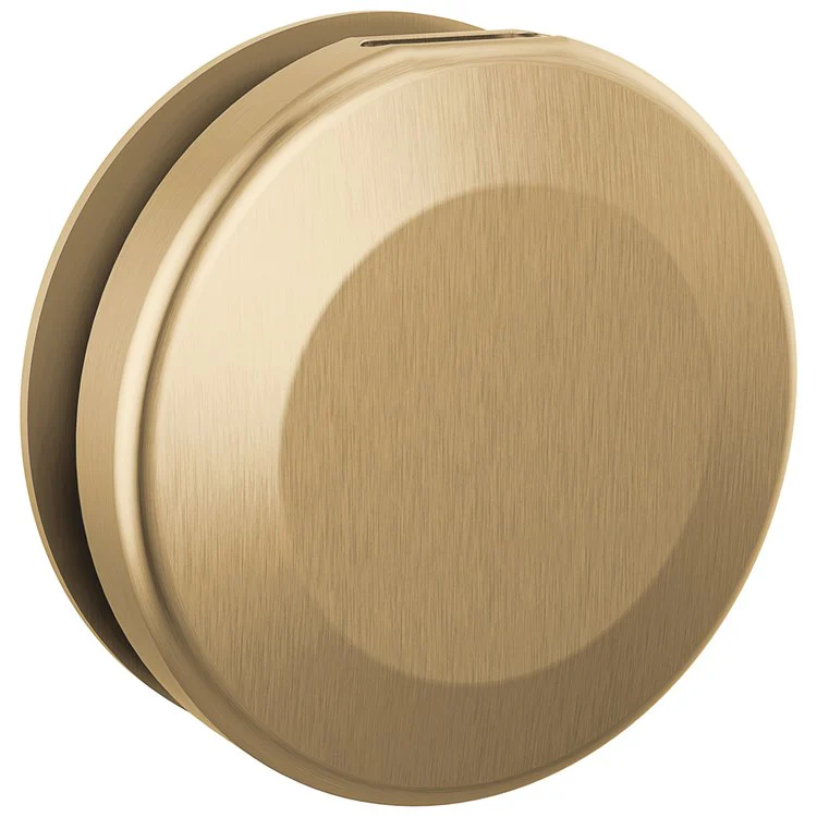 Steamhead SteamScape Classic System Contemporary Round Lumicoat Champagne Bronze - Frankwebs