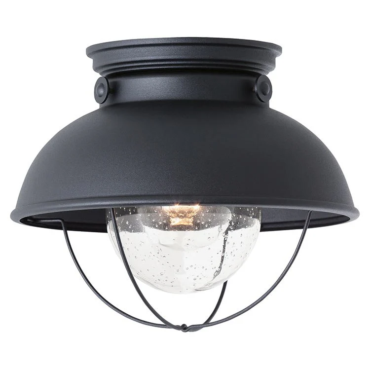 Sebring Single-Light Outdoor Flush Mount Ceiling Fixture - Frankwebs