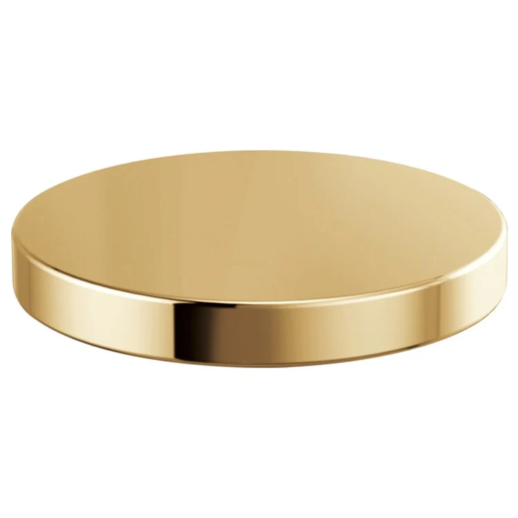 Hole Cover Litze 2-1/4 Inch Brass Brilliance Polished Gold RP90934 for Kitchen Sink - Frankwebs