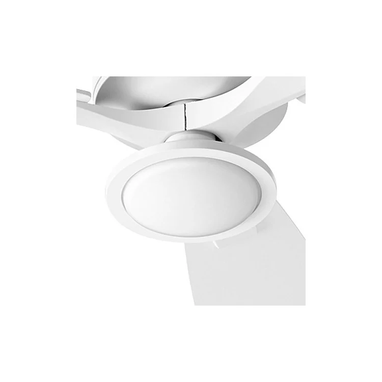 Juno Single-Light 18-Watt LED Ceiling Fan Light Kit - Satin Nickel - Frankwebs