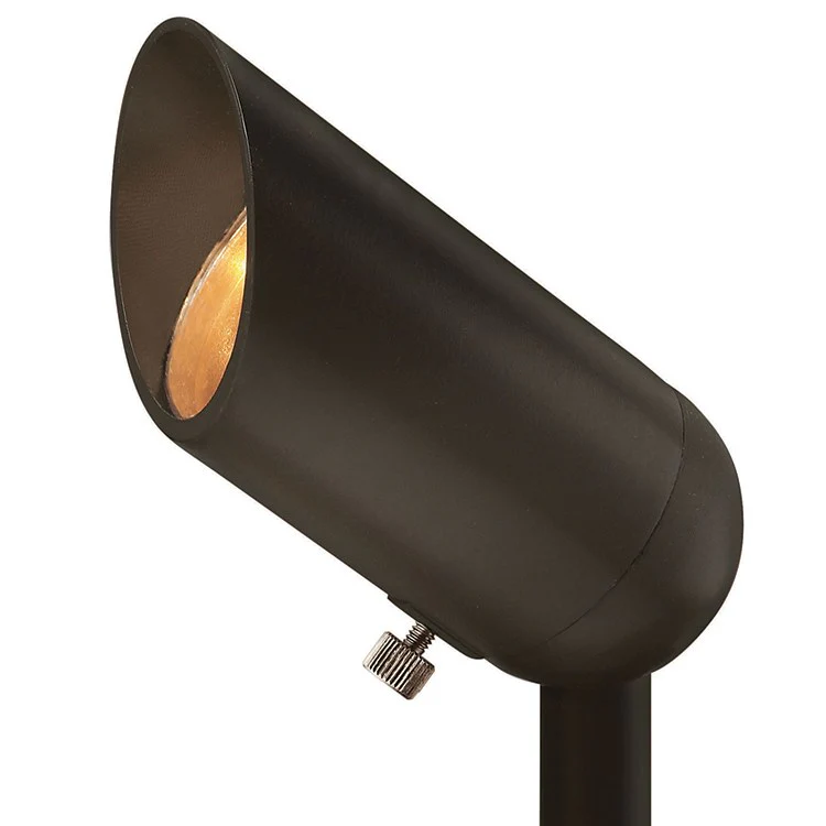 Hardy Island 3-Watt Single-Light LED Spot Beam Landscape Light - Frankwebs