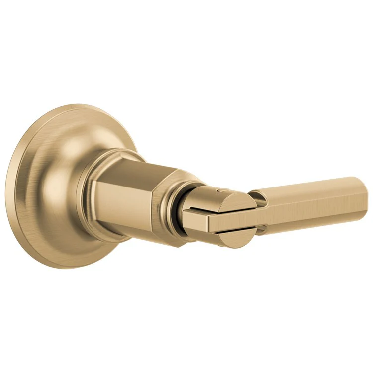 Volume Control Trim Invari Sensori 1 Lever Brilliance Luxe Steel ADA Brass 3-3/8 Inch - Frankwebs
