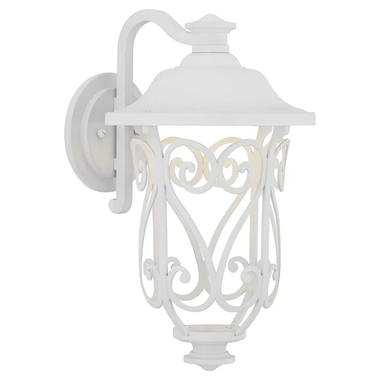 Leawood Single-Light LED Medium Outdoor Wall Lantern - Frankwebs