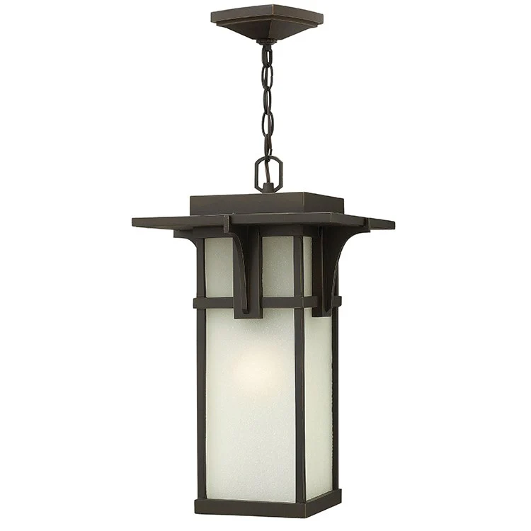 Manhattan Single-Light LED Hanging Lantern - Frankwebs