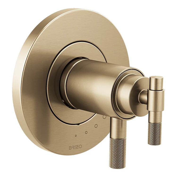 Litze Replacement Lever Handle for TempAssure Thermostatic Valve - Frankwebs