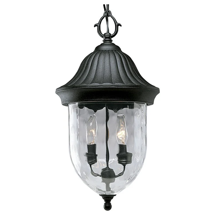 Coventry Two-Light Hanging Lantern - Frankwebs