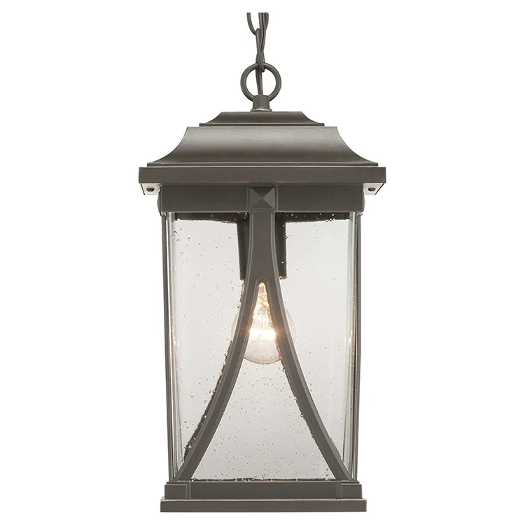Abbott Single-Light Outdoor Hanging Lantern - Frankwebs