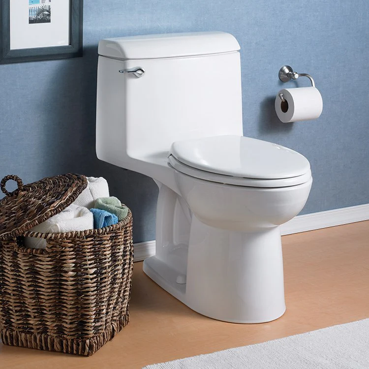 Champion 4 Elongated One-Piece Toilet with Slow-Close Seat - Frankwebs