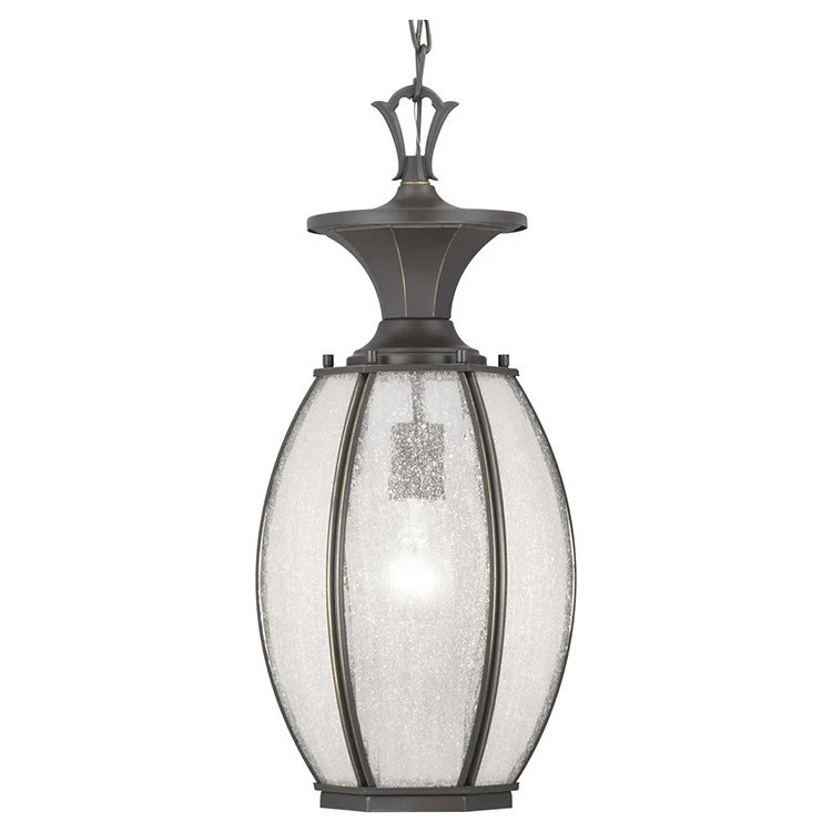 River Place Single-Light Outdoor Hanging Lantern - Frankwebs