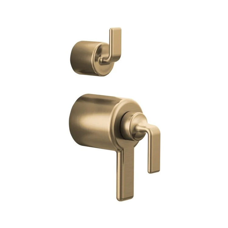 Handle Kit Allaria Zinc 2 Twist Lever Brilliance Black Onyx ADA for TempAssure Thermostatic Valve with Integrated Diverter Trim - Frankwebs