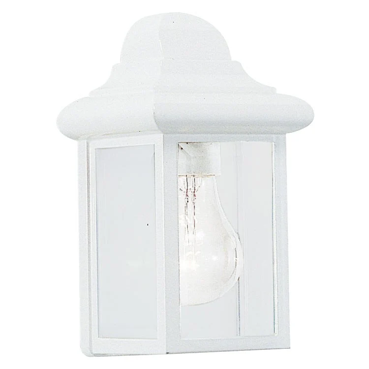 Mullberry Hill Single-Light Outdoor Wall Lantern - Frankwebs