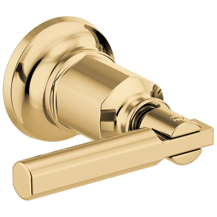 Handle Kit Invari Zinc 2 Lever Brilliance Luxe Gold for Wall Mount Tub Filler 2-5/8 Inch - Frankwebs
