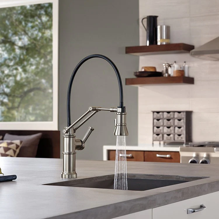 Artesso Single Handle Kitchen Faucet with Articulating Arm - Frankwebs