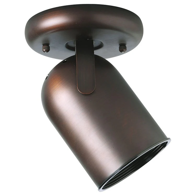 Directional Single-Light Round Back Wall/Ceiling Light - Frankwebs