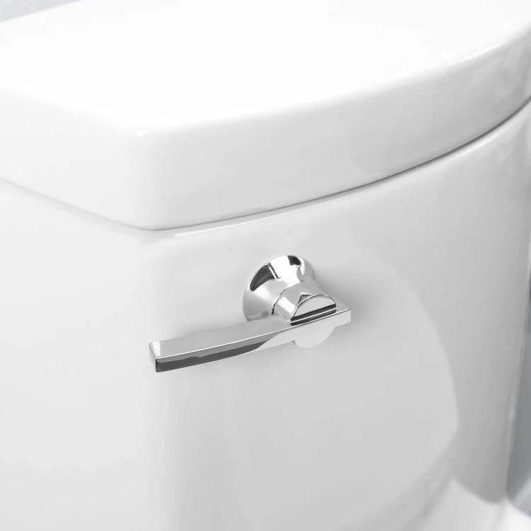 Boulevard Right Height FloWise Elongated 1-Piece Toilet - Frankwebs
