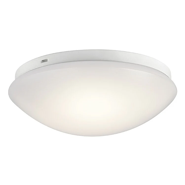 Ceiling Space Single-Light LED Flush Mount Ceiling Fixture - Frankwebs