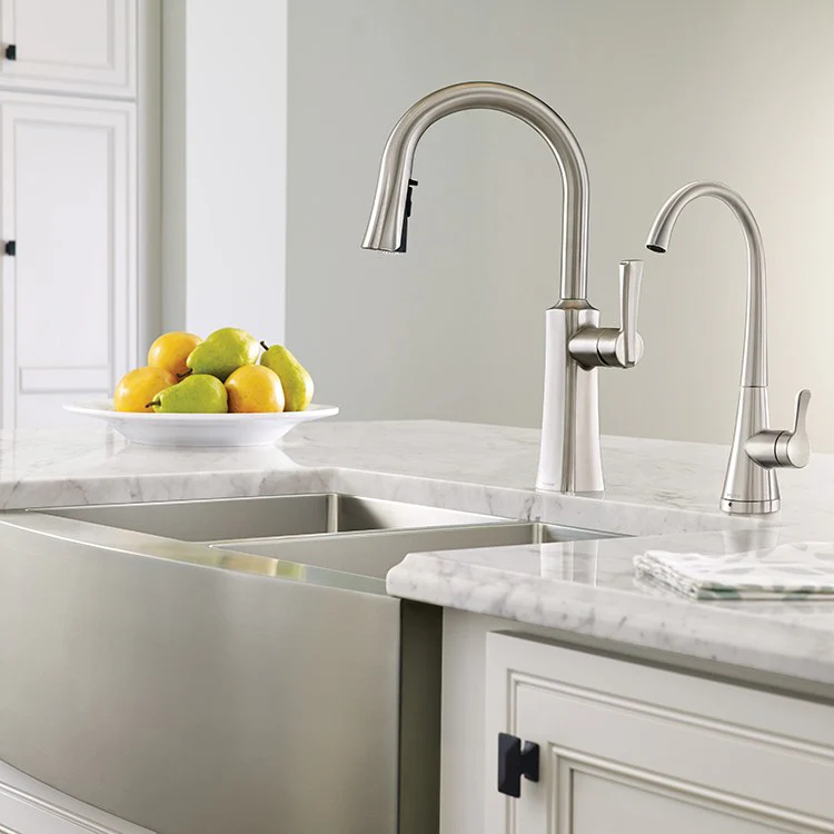 Etch Single Handle High Arc Pull Down Kitchen Faucet - Frankwebs