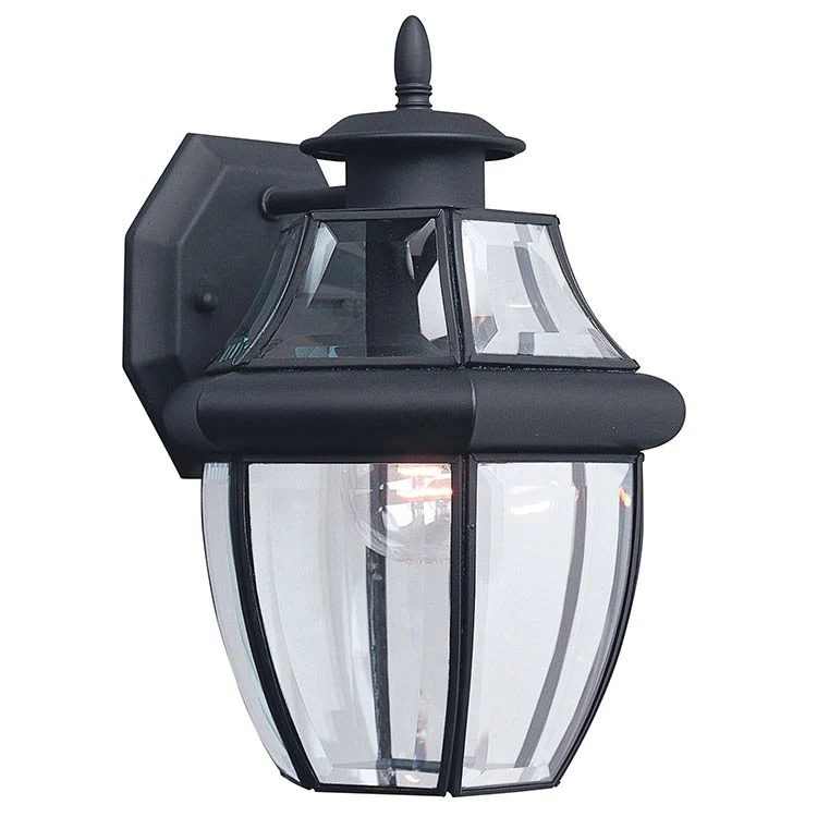 Lancaster Single-Light Outdoor Wall Lantern - Frankwebs