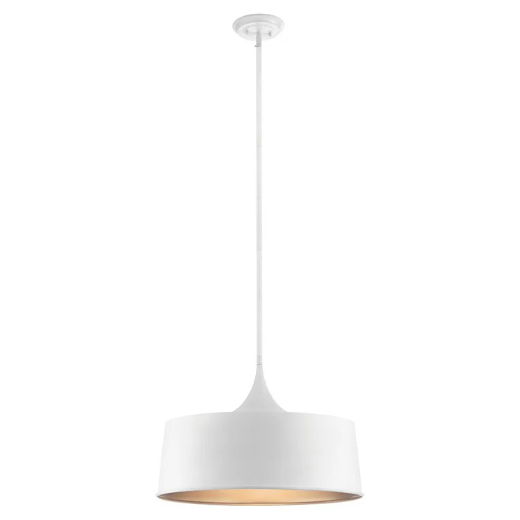Elias Single-Light Convertible Pendant/Semi-Flush Mount Ceiling Fixture - Frankwebs