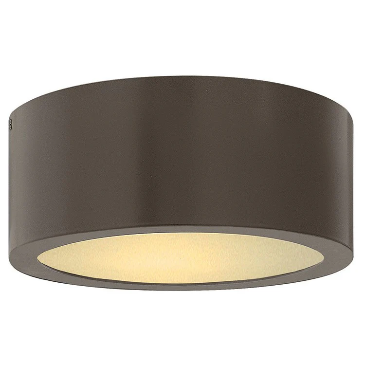 Luna Single-Light LED Flush Mount Ceiling Light - Frankwebs
