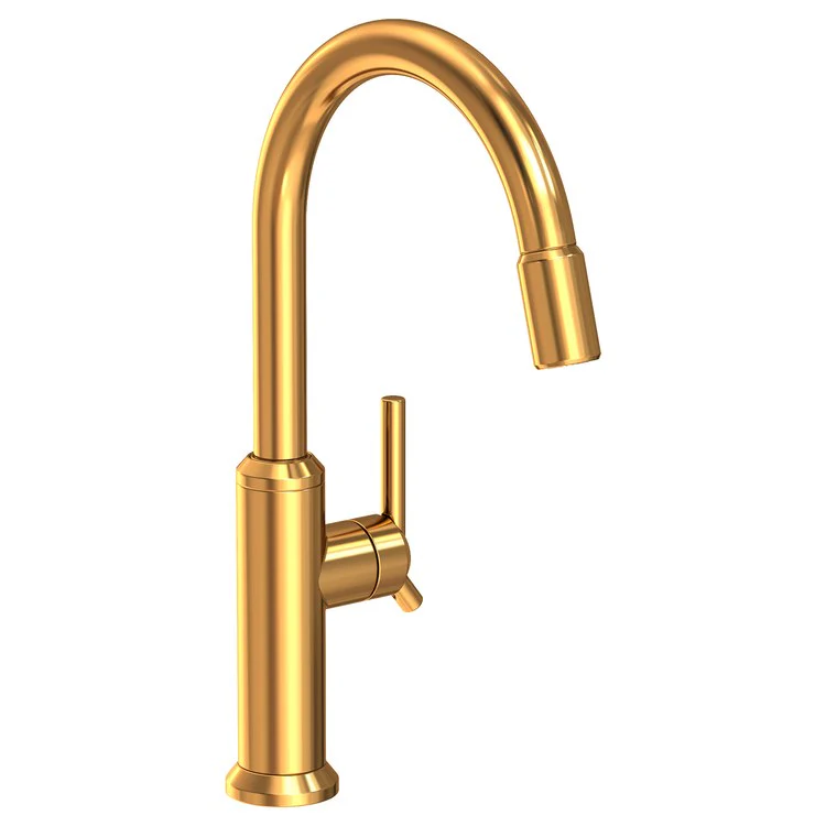 Kitchen Faucet Jeter 1 Lever ADA Polished Chrome Pull Down Spout Height 10-7/9 Inch 1.8 Gallons per Minute - Frankwebs