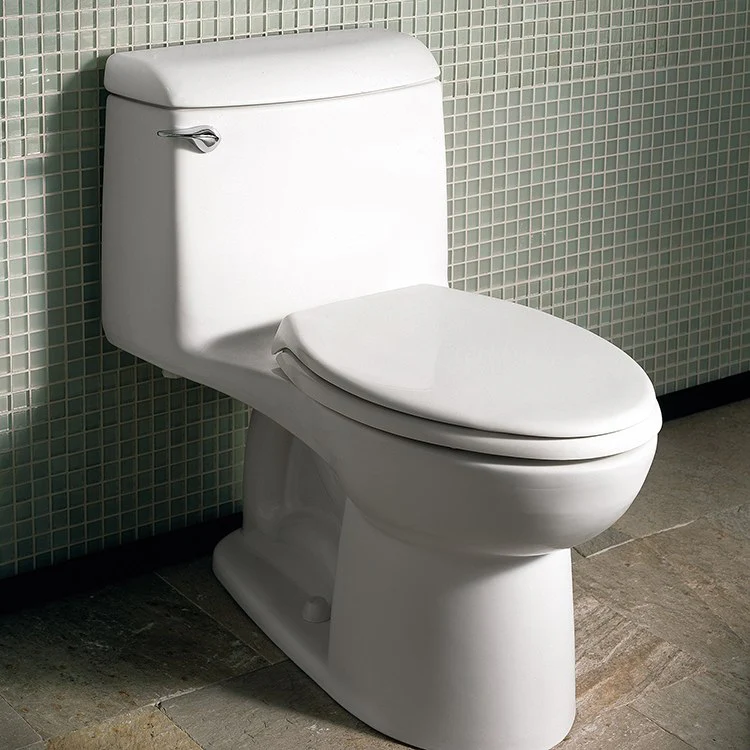 Champion 4 Elongated One-Piece Toilet with Slow-Close Seat - Frankwebs