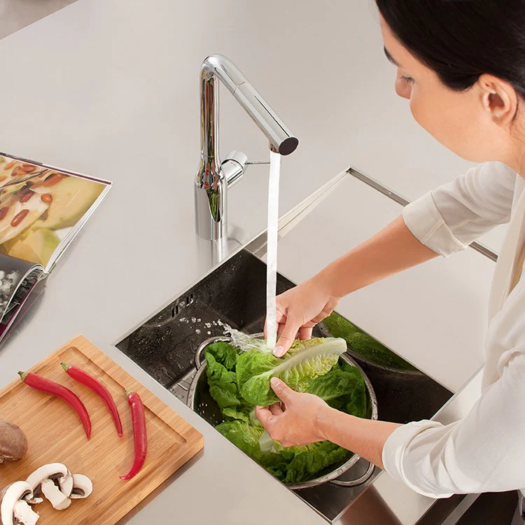 Essence Single Handle Pull-Out Kitchen Faucet - Frankwebs
