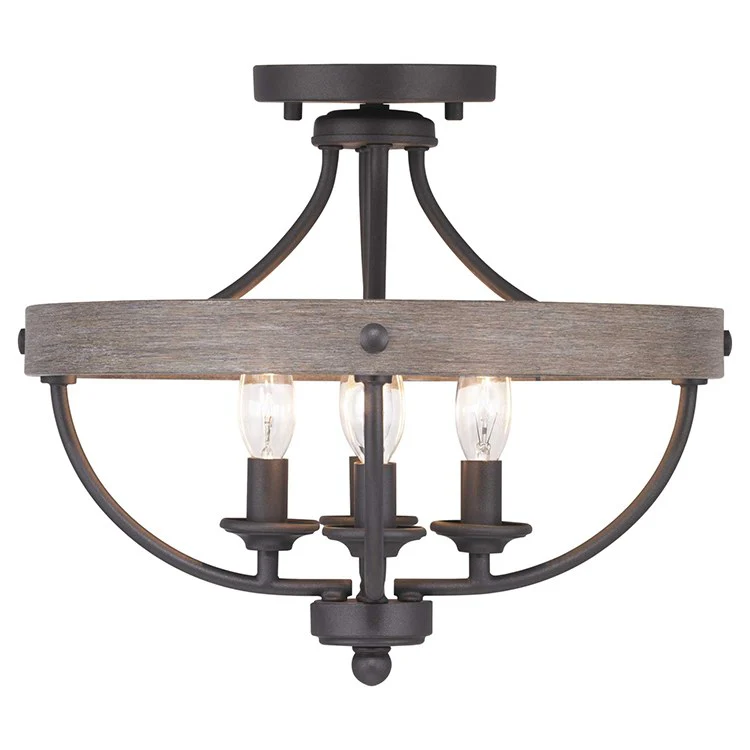 Gulliver Four-Light Convertible Semi-Flush Mount Ceiling Fixture/Pendant - Frankwebs