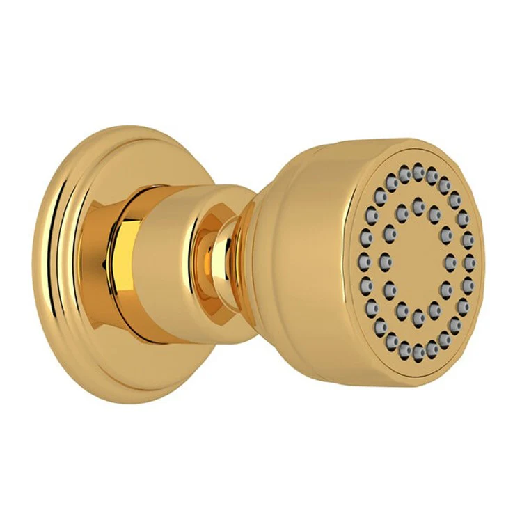 Body Spray English Bronze Wall Mount 3 Inch 1 Function 1.0 Gallons per Minute 1/2IN FNPT - Frankwebs