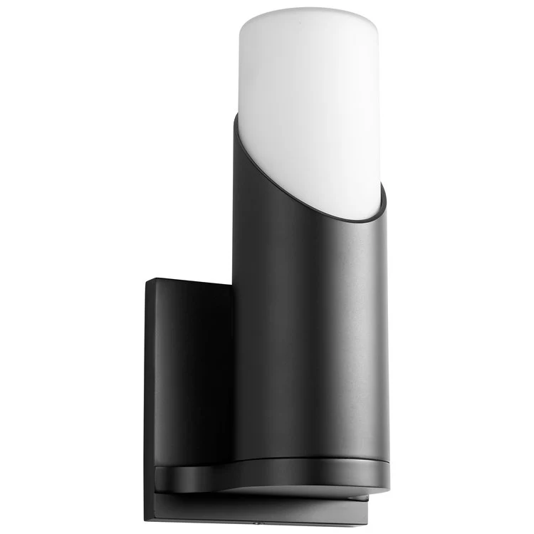 Ellipse Single-Light Wall Sconce with Glass Shade - Black - Frankwebs
