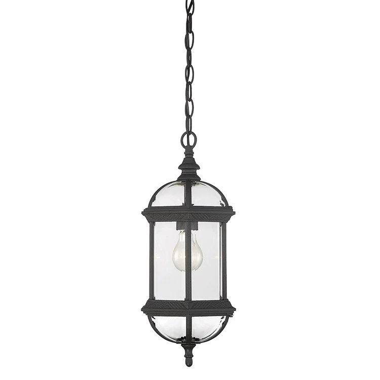 Kensington Single-Light Outdoor Hanging Lantern - Frankwebs