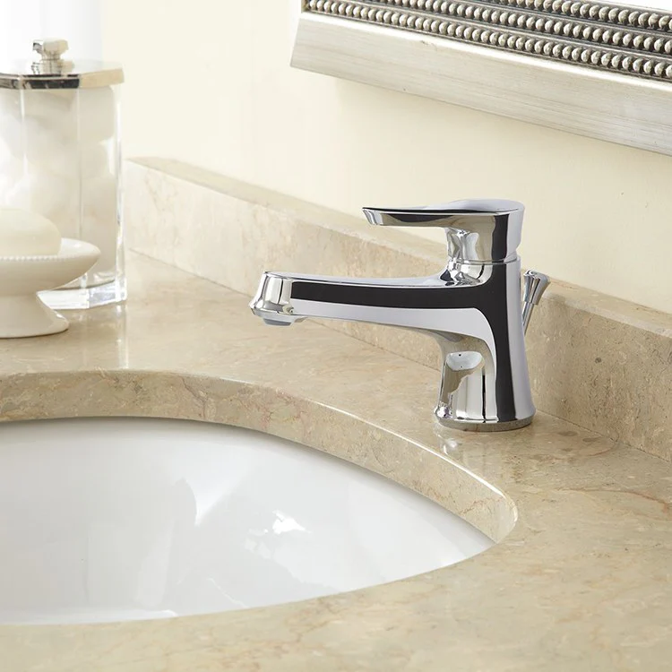 Wyeth Single Handle Bathroom Faucet with Drain - Frankwebs
