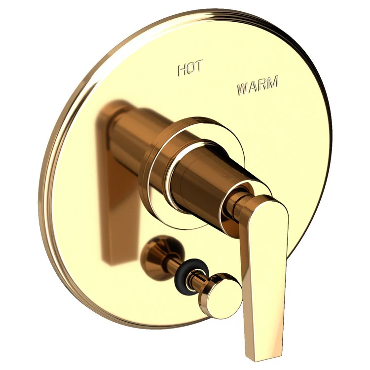 Pressure Balance Valve Trim Dorrance with Diverter Pull Knob 1 Lever Forever Brass PVD ADA Depth 3-1/6 Inch - Frankwebs