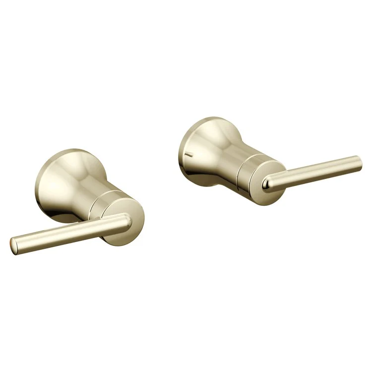 Handle Kit Trinsic Zinc 2 Lever Wall Mount Chrome ADA for Lavatory Faucet - Frankwebs