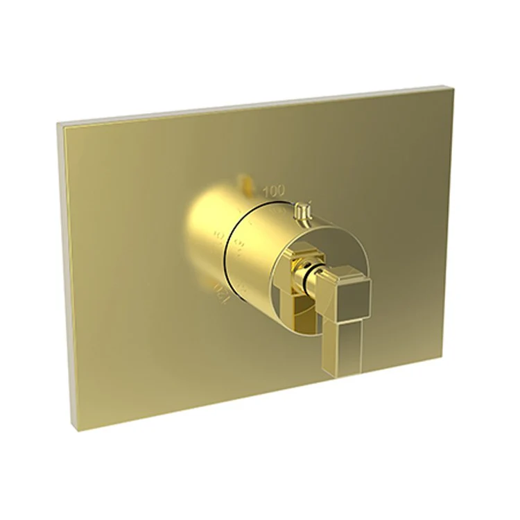 Thermostatic Trim Malvina Rectangular Plate 1 Lever Forever Brass PVD ADA for Rough Valve 1-540 Face Plate and Temperature-Adjust Handle Brass - Frankwebs