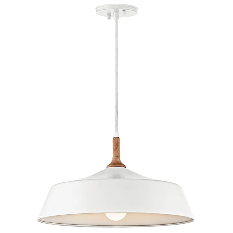 Danika Single-Light Pendant - Frankwebs