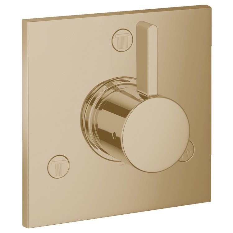 Diverter Trim Ecostat Trio/Quattro Matte Black 1 Lever ADA - Frankwebs