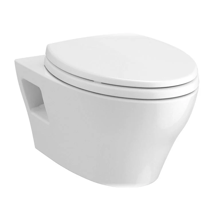 EP Wall-Mount Toilet Bowl Only - Frankwebs