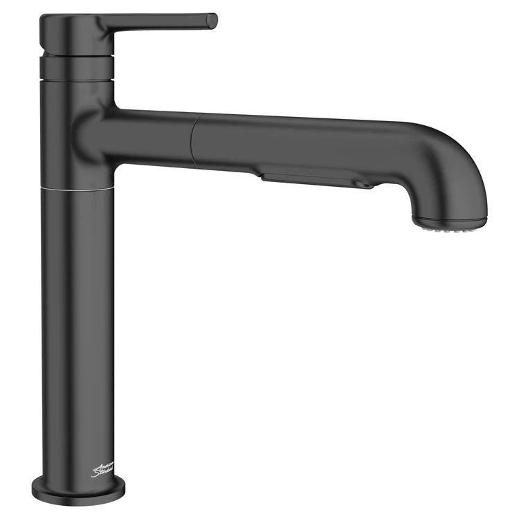 Studio S Single Handle Pull-Out Dual-Spray Kitchen Faucet - Frankwebs