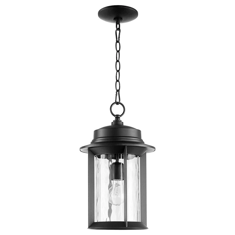 Charter Single-Light Outdoor Hanging Lantern - Frankwebs